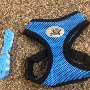 Medium chicken harness/leash